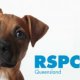 Gold Coast Pet Adoption