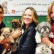 Morkie Dog Rescue