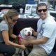 Orange County Dog Rescue Groups