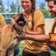 Orange County FL Pet Adoption