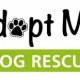 Pet Adoption Logo