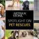 Pet Rescue Shelters