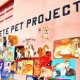 Pet Rescue St. Petersburg FL