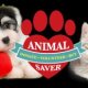 Save the animals Rescue