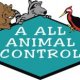 Tampa Bay Animal Control