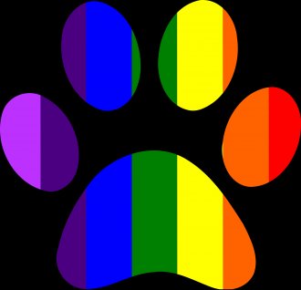 rainbowpaw