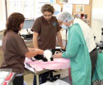 Redinger Clinic