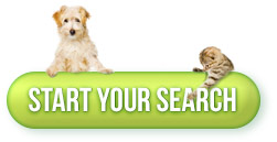 Search for pet Search for pet