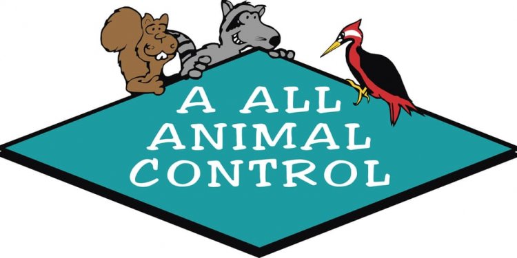 Tampa Bay Animal Control
