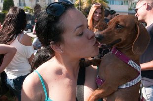 Ten Best Dog Parks in Broward County