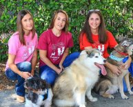 Adoption a dogs in Orlando