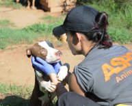 Animal Rescue, American