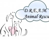 Animal Rescue Boca Raton
