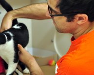 Animal Rescue jobs NYC