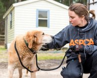 Animal Rescue Sanford FL