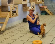Animal Shelters in Fort Myers FL