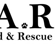 BARC Boxer Rescue Jacksonville