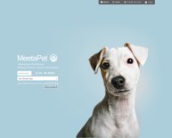 Best Pet Adoption Website