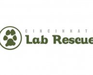 Cincinnati dogs Rescue Organizations