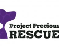 CT Rescue Shelters