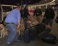 Dogs pounds in Orlando