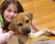 Dogs Rescue Groups in CT