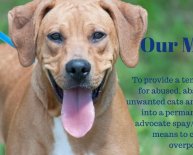 Duval County Animal Shelter