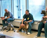 Gwinnett County Pet Adoption