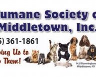 Humane Society Orange County NY