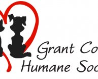 Humane Society Shelter Pet