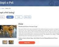 Humane Society Website