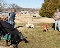 Jefferson Company Animal Control