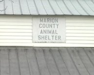 Marion County Florida Animal shelter