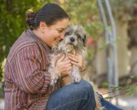 Melbourne Rescue dogs