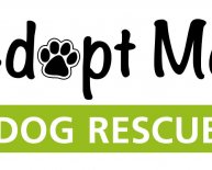 Pet Adoption Logo