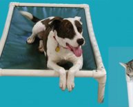 Pet Adoption Westchester NY