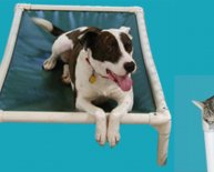 Pet Adoption Westchester NY