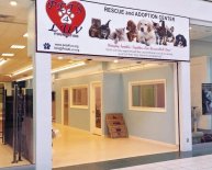 Pet Rescue and Adoption Center