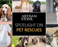 Pet Rescue Shelters