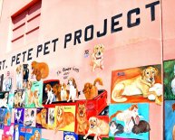 Pet Rescue St. Petersburg FL