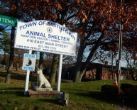 Pets Adoption Long Island NY