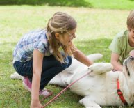 Rescue dogs in Melbourne