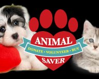 Save the animals Rescue