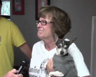 Small Breed dogs Rescue Florida