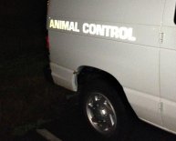 Stratford Animal Control