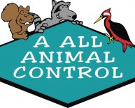 Tampa Bay Animal Control