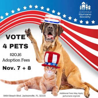 vote-4-pets-fb-and-ig