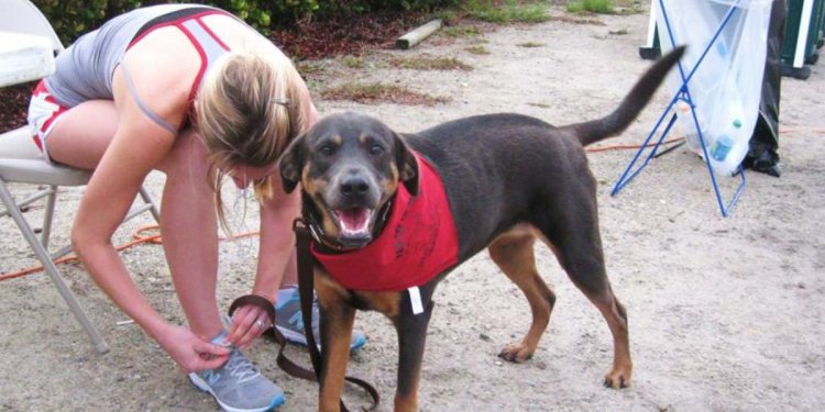 Humane Society of Fort Myers